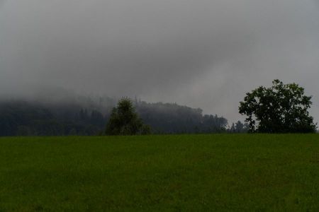 Den 1-50.jpg